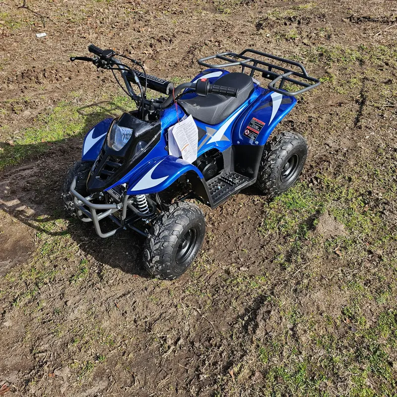 Mototec Rex 110Cc 4-Stroke Kids Atv 4 Wheelers 2