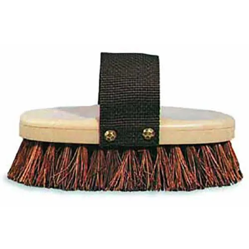 Palmyra Brush With Strap 1