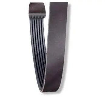 Power Steering Belt Sbf 1