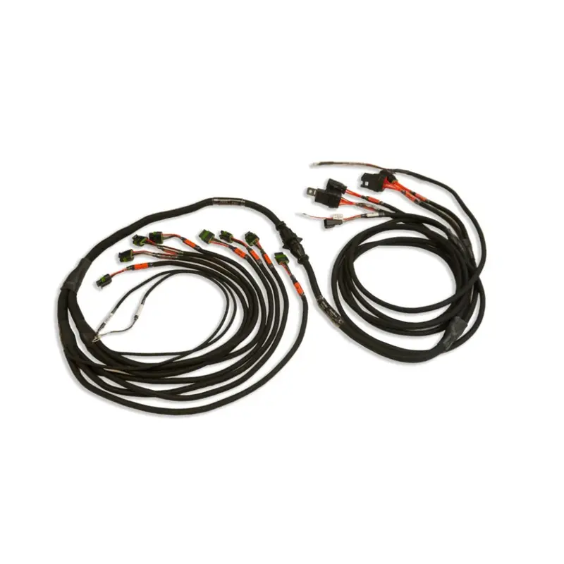 Pro550/600 Ford V8 Smart Coil Harness Complete 1