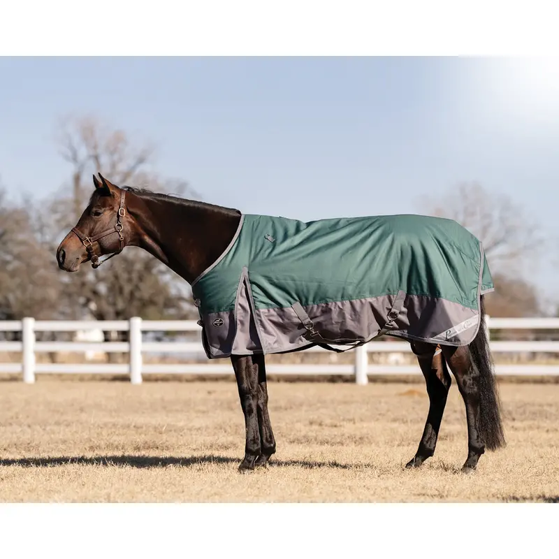 Professional's Choice 1200D Turnout Winter Blanket- Emerald 1