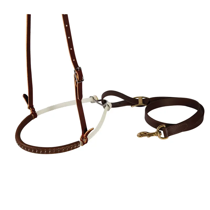 Professional's Choice Double Laced Rope Tiedown Set 1