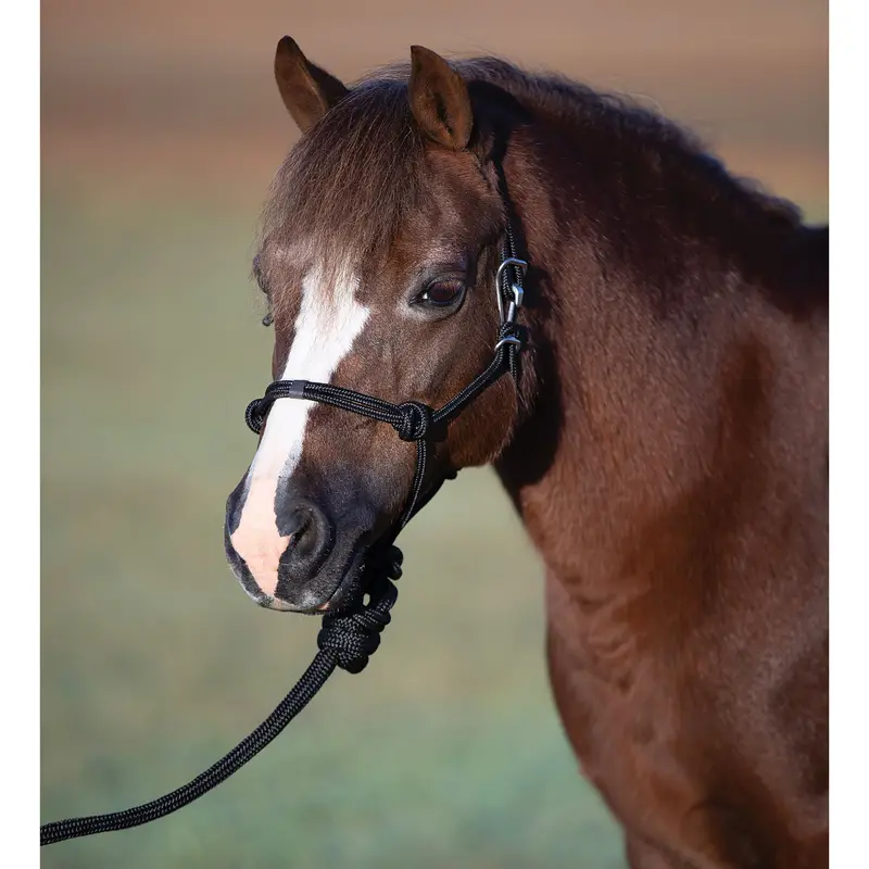 Professional's Choice Easy On Pony Rope Halter With Lead Rope- Black 1