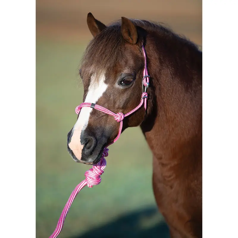 Professional's Choice Easy On Pony Rope Halter With Lead Rope- Pink 1