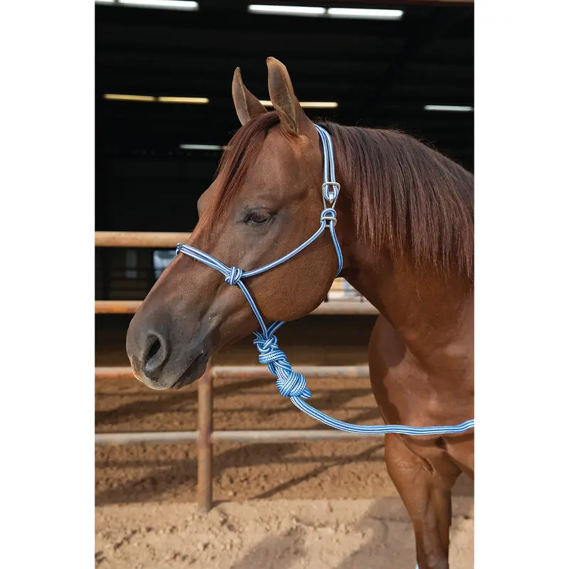 Professional's Choice Easy On Rope Halter With Lead Rope- Turquoise 1