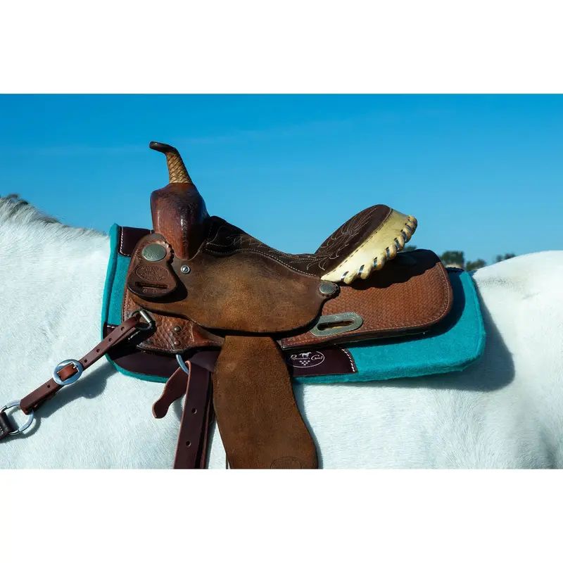 Professional's Choice Pacific Felt Pony Saddle Pad 2