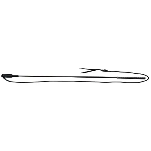 Professional's Choice Training Stick 1