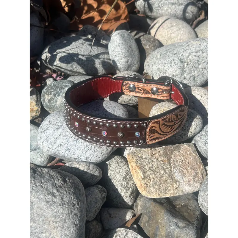 Rafter T Ranch Co. Dog Collar With Chocolate Gator Overlay And Studs 1