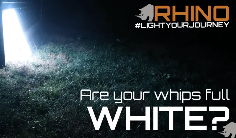 Rhino Rgb Whips 2.0 10