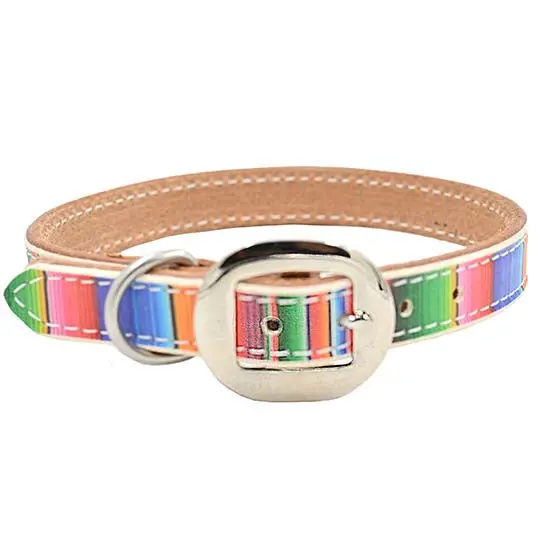 San Saba Equine Serape Print Leather Dog Collar 1