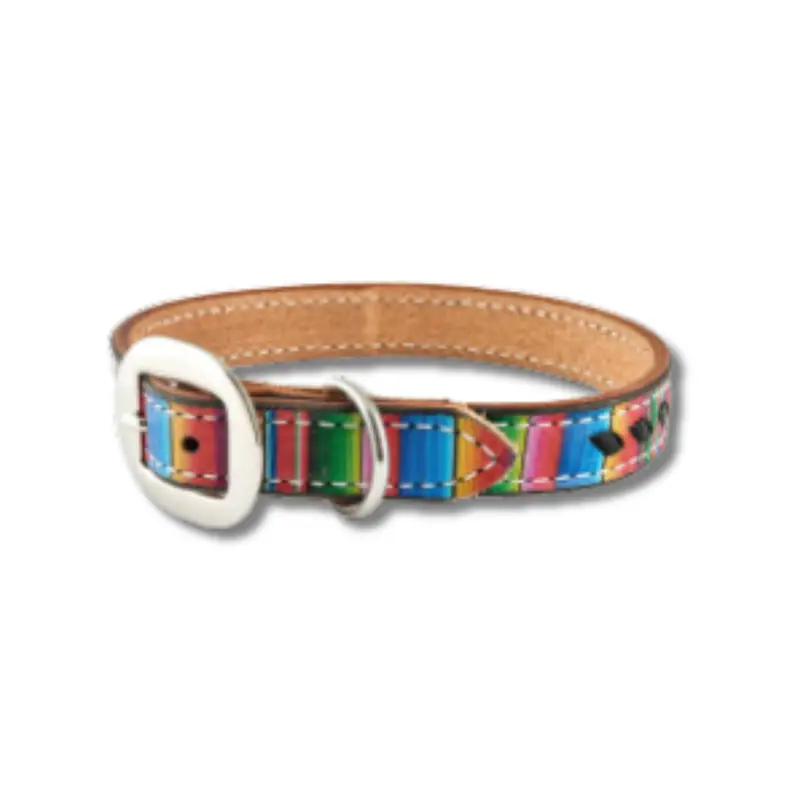 San Saba Equine Serape Print Leather Dog Collar 2