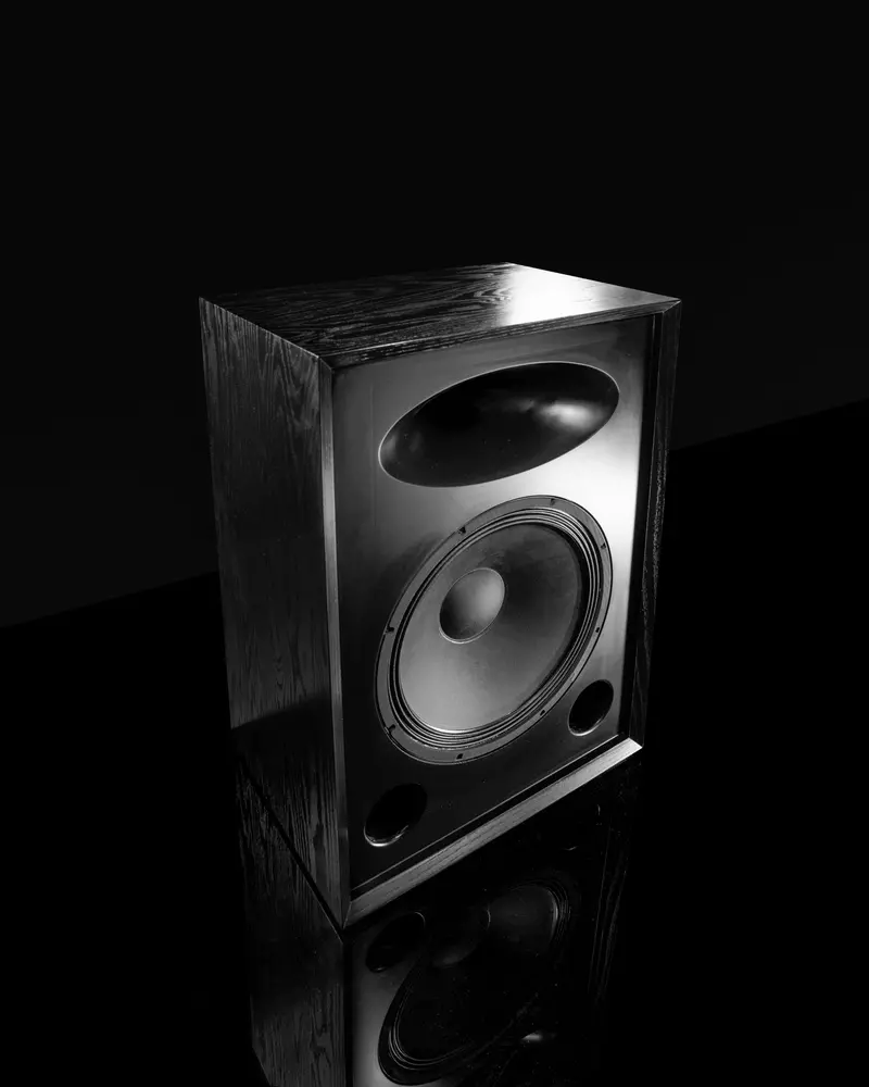 Sasquatch 2Way Speaker - 18" Woofer 1