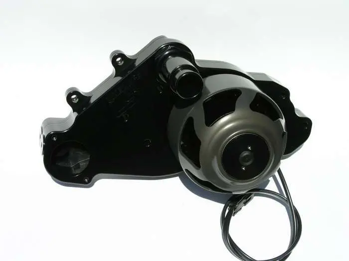 Sbc Ls1 Billet Electric W/P - Black 1