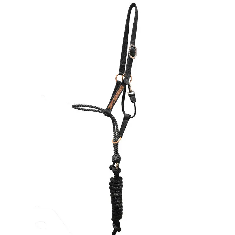 Schulz Equine Tooled Lariat Nose Halter 1