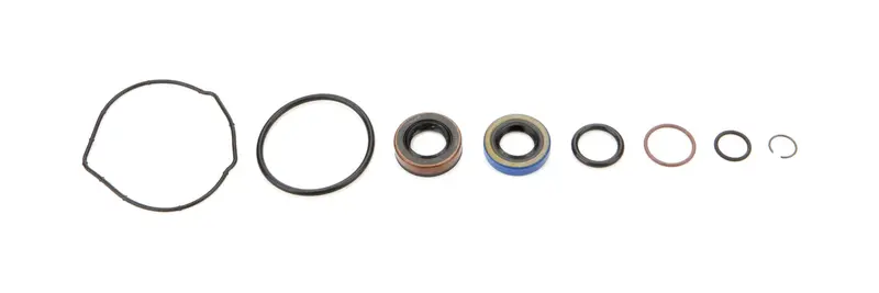 Seal Kit Sprint Car Pump 1