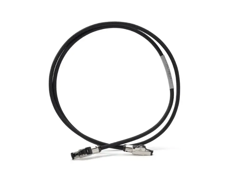 Shunyata Research Theta Ethernet Cable 1