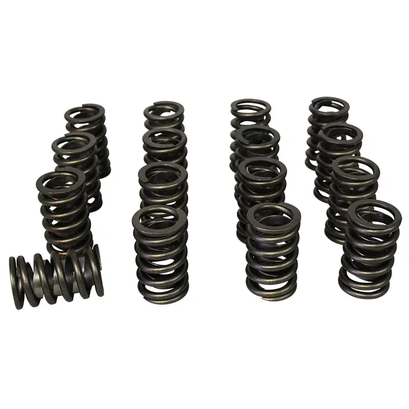 Single Valve Springs - 1.510 1