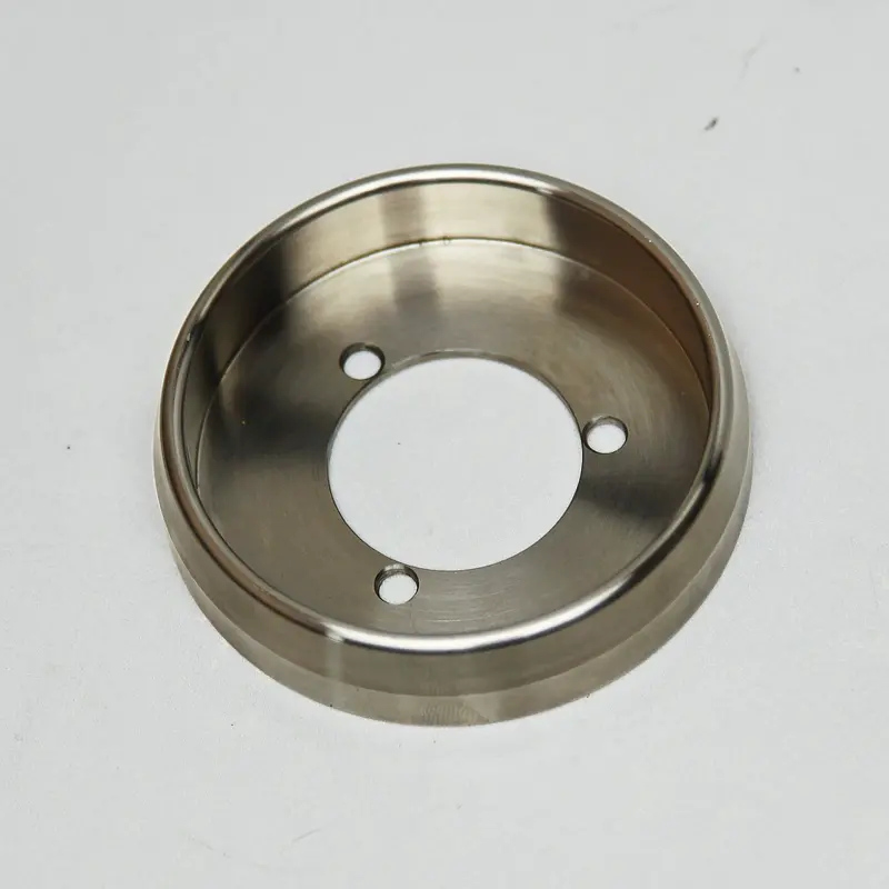 Stainless Steel Turn Signal Trim 1