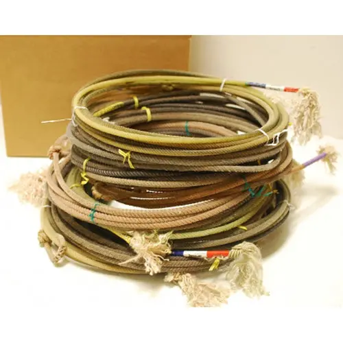 Ten (10) Used Lariat Team Ropes Good For Decor Or Roping Practice 30' To 35' 1