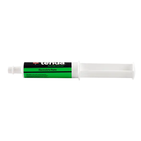 Tenda Race Day Formula Electrolyte Paste 1