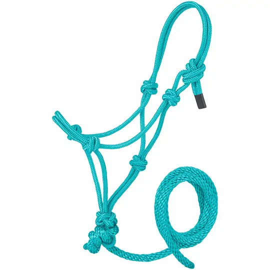 Tough 1 Mini Rope Halter With Lead Rope- Turquoise 1