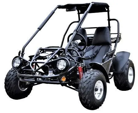 Trailmaster 200 Xrs Buggy Go Kart Cvt Auto With Reverse, Number One Go Kart Nationwide 2