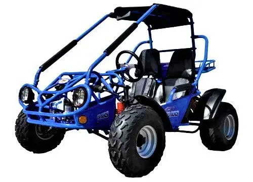 Trailmaster 200 Xrs Buggy Go Kart Cvt Auto With Reverse, Number One Go Kart Nationwide 3