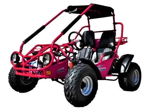 Trailmaster 200 Xrs Buggy Go Kart Cvt Auto With Reverse, Number One Go Kart Nationwide 4