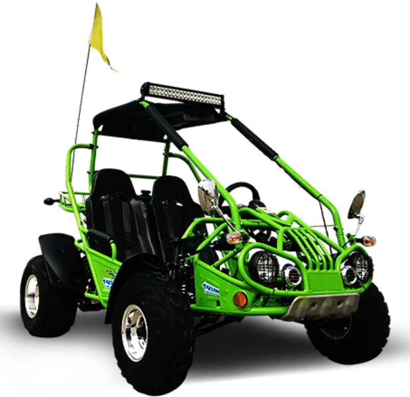 Trailmaster 200 Xrx Deluxe Buggy Go Kart, Alloy Wheels, Lights, Turn Signals 1