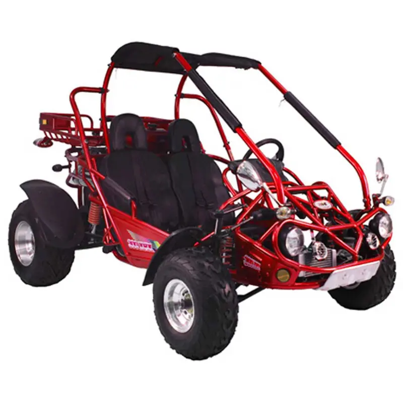 Trailmaster 300 Xrx-E Dune Buggy Go Kart, Efi Fuel Injected, Liquid Cooled, Shaft Drive, Alloy Wheels 2