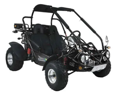 Trailmaster 300 Xrx-E Dune Buggy Go Kart, Efi Fuel Injected, Liquid Cooled, Shaft Drive, Alloy Wheels 3