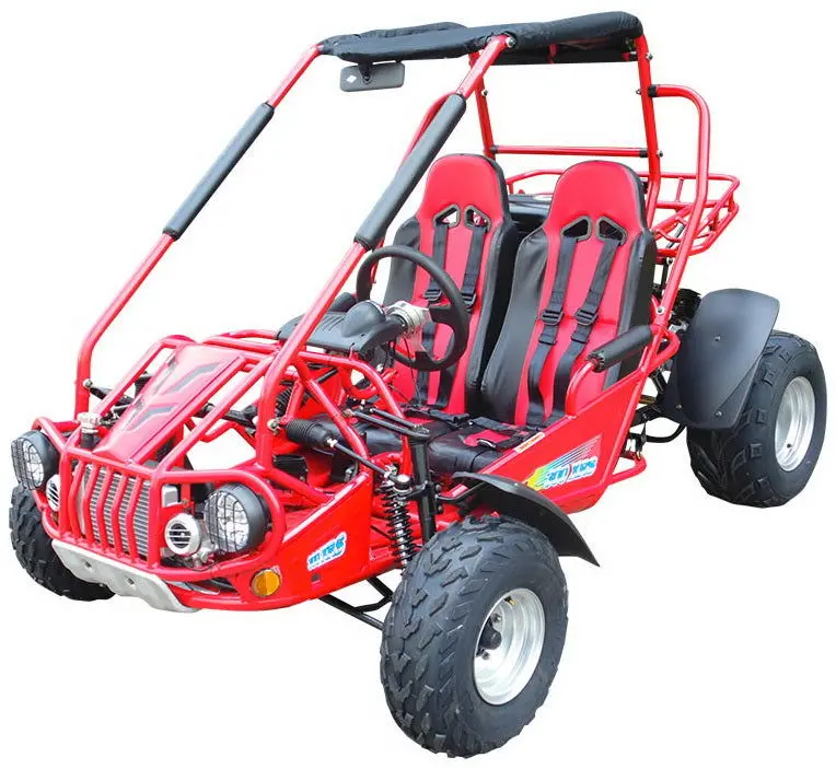 Trailmaster 300E Xrs (Efi) Dune Buggy Go Kart, Liquid Cooled, Chain Drive 1