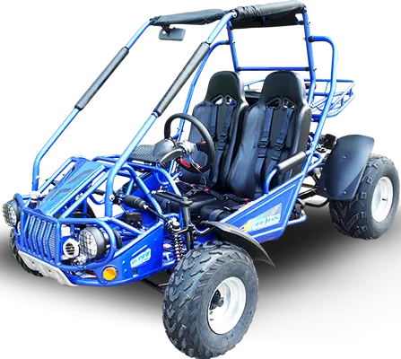 Trailmaster 300E Xrs (Efi) Dune Buggy Go Kart, Liquid Cooled, Chain Drive 2