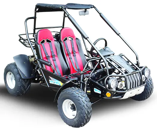 Trailmaster 300E Xrs (Efi) Dune Buggy Go Kart, Liquid Cooled, Chain Drive 3