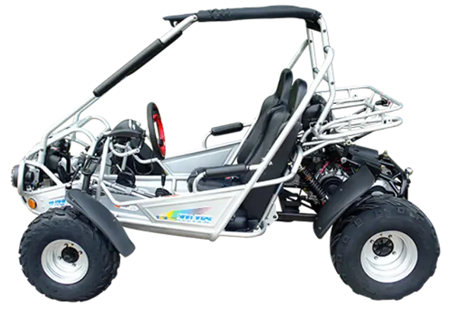 Trailmaster 300E Xrs (Efi) Dune Buggy Go Kart, Liquid Cooled, Chain Drive 4