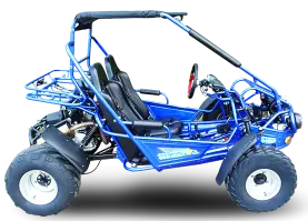 Trailmaster 300E Xrs (Efi) Dune Buggy Go Kart, Liquid Cooled, Chain Drive 4