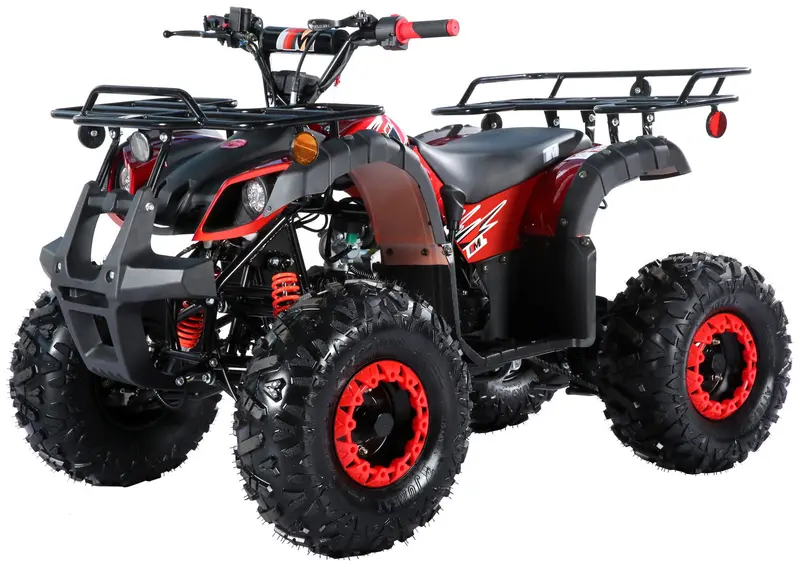 Trailmaster B125 125Cc Utility Atv, Automatic With Reverse, 8-Inch Wheels, Ages 9-12 1