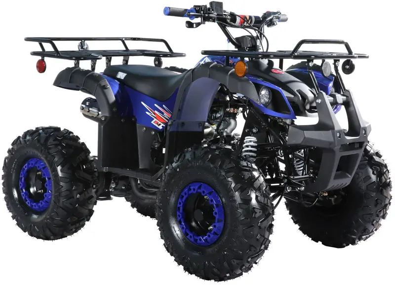 Trailmaster B125 125Cc Utility Atv, Automatic With Reverse, 8-Inch Wheels, Ages 9-12 4