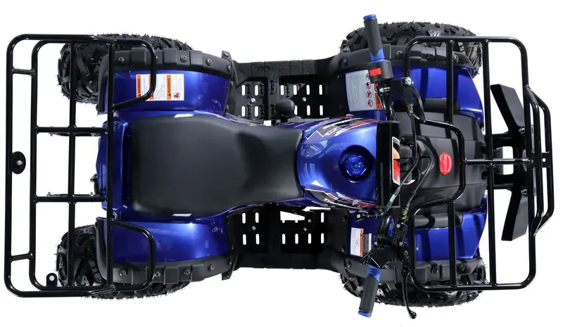 Trailmaster B125 125Cc Utility Atv, Automatic With Reverse, 8-Inch Wheels, Ages 9-12 5