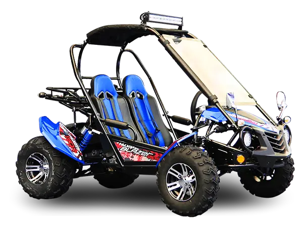 Trailmaster Blazer 200Ex Efi Buggy Go Kart, Led Light Bar, Windshield Included 3
