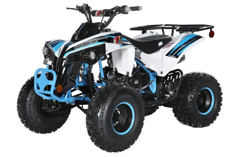 Trailmaster C125 125Cc Sport Atv, Automatic With Reverse, 8-Inch Wheels, Ages 9-12 2