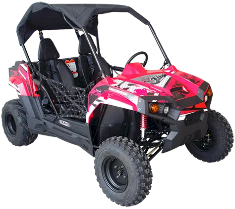 Trailmaster Challenger 200 Utv Go Kart, (Special) For Youth & Adult 1