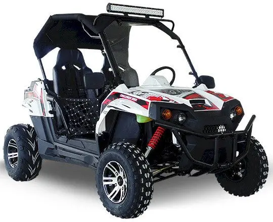Trailmaster Challenger 300Ex (Efi) Utv Side-By-Side, Shaft Drive With Independent Rear Suspension 1