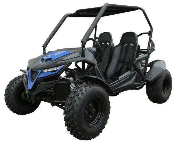 Trailmaster Cheetah 200E Efi Buggy Go Kart, Cvt Automatic With Reverse 1