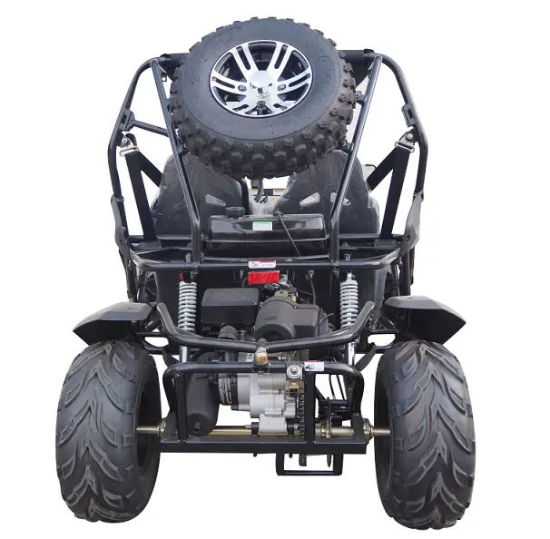 Trailmaster Cheetah 200Ex Efi Go Kart Cvt Automatic With Reverse, Alloy Wheels, Windshield 4