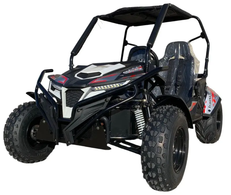 Trailmaster Cheetah 300E Efi Utv Go Kart, Shaft Drive, Liquid Cooled Cvt Auto With Reverse 1