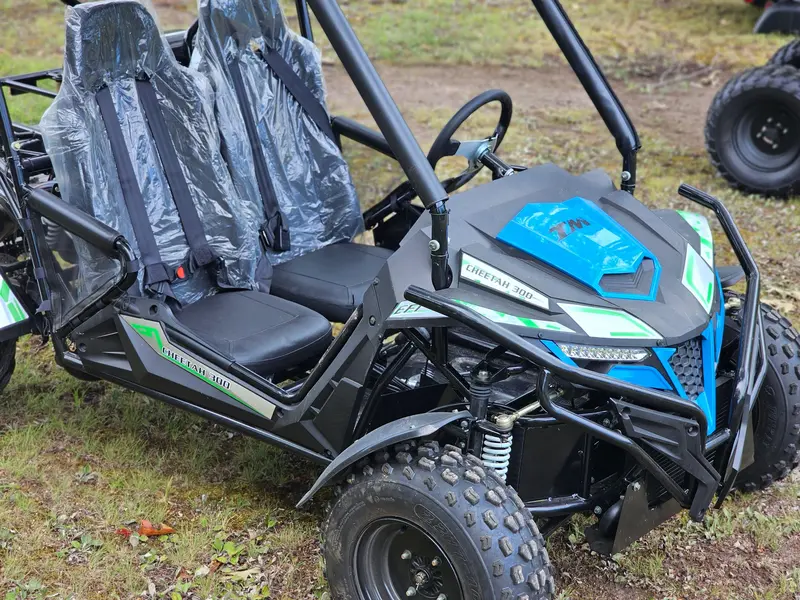 Trailmaster Cheetah 300E Off Road Buggy / Go Kart 18 Hp Fuel Injected, Upgraded Rear Suspension 1