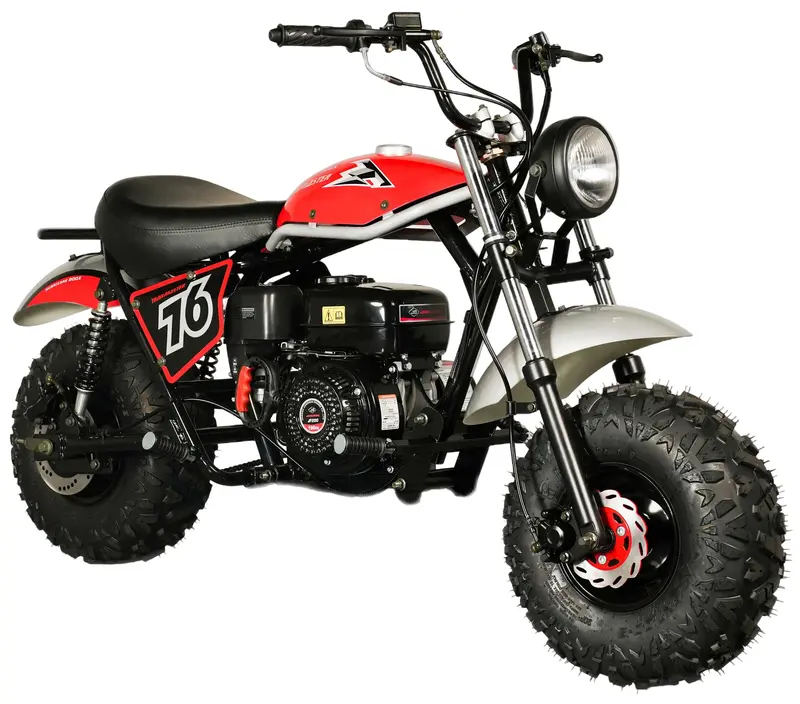 Trailmaster Hurricane 200X Mini Bike, 196Cc 6.5Hp With Torque Converter, Dual Disc Brake, Front & Rear Suspension 1