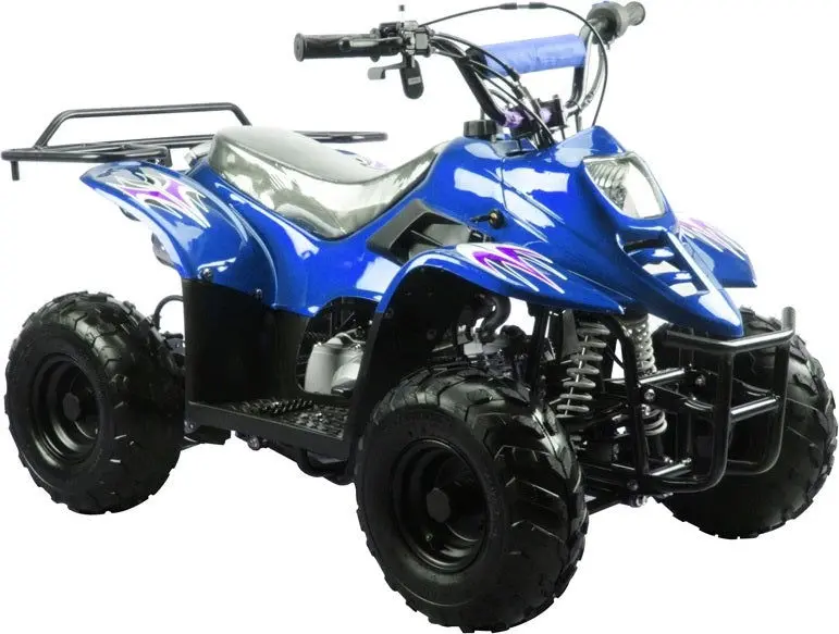 Trailmaster Mini Sport Atv 110, Gas Engine With Remote Start/Kill, Speed Governor, 6-Inch Wheels 1