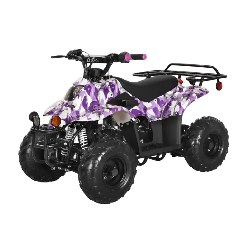 Trailmaster Mini Sport Atv 110, Gas Engine With Remote Start/Kill, Speed Governor, 6-Inch Wheels 10